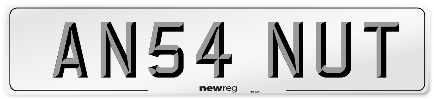 AN54 NUT Number Plate from New Reg